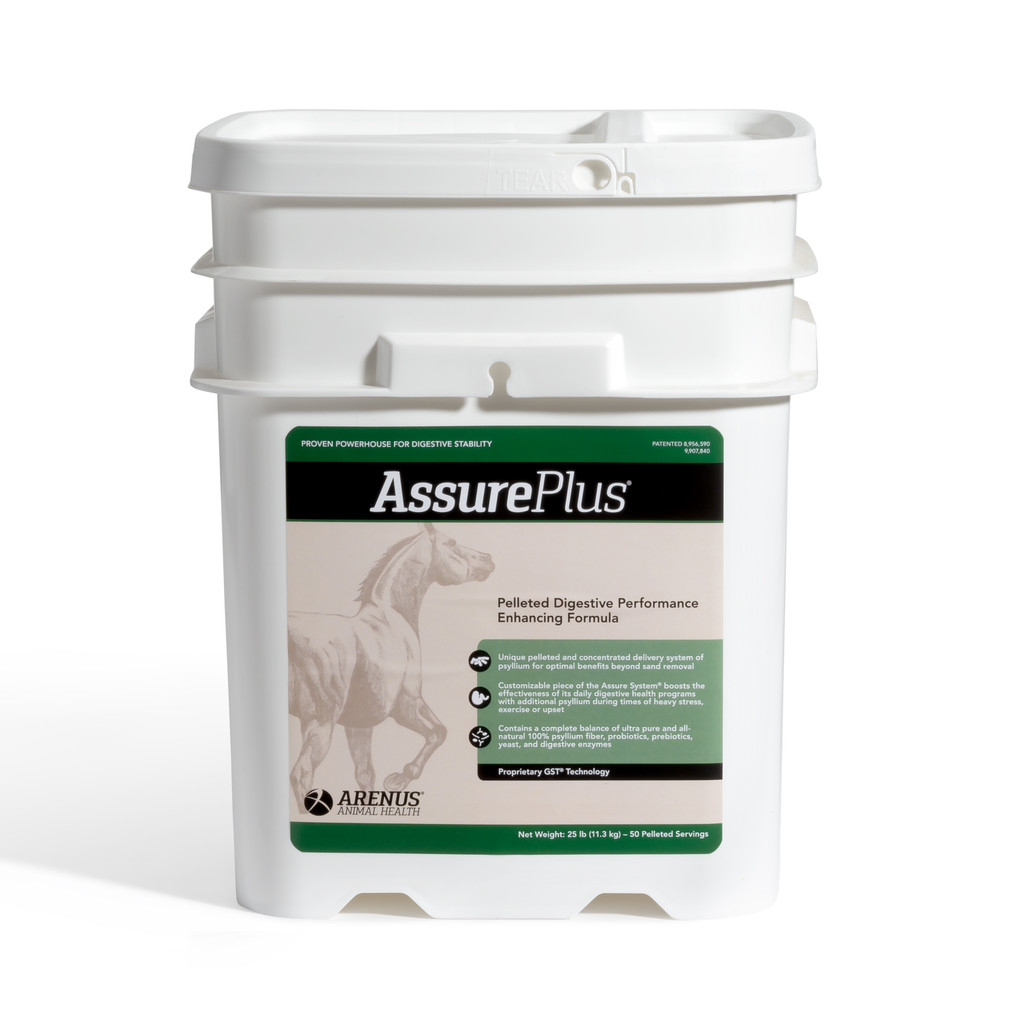Assure Plus Pelleted Digestive Supplement for Horses