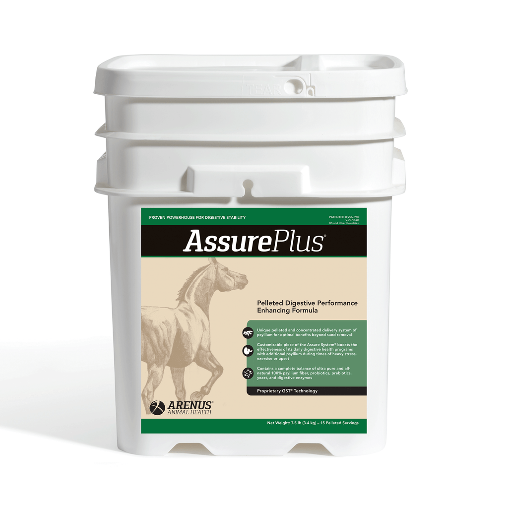 Assure Plus Pelleted Digestive Supplement for Horses