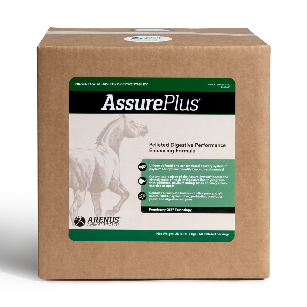 Assure Plus Pelleted Digestive Supplement for Horses
