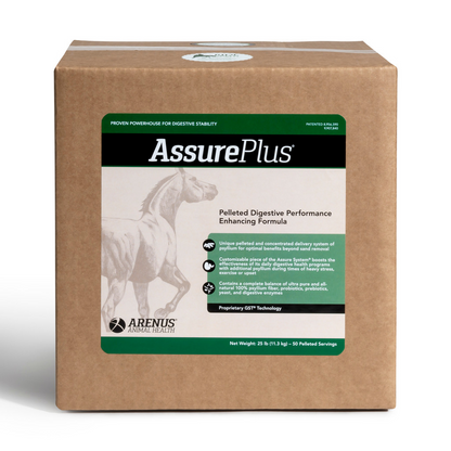 Assure Plus Pelleted Digestive Supplement for Horses