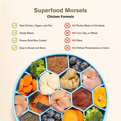 Badlands Ranch Superfood Complete Raw Coated Morsels Chicken Dog