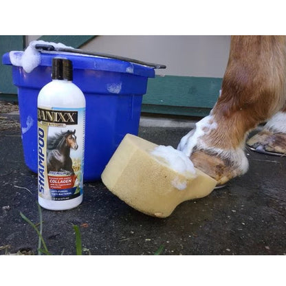 Banixx Horse & Pet Care Antifungal & Antibacterial Shampoo with Collagen (16 oz)