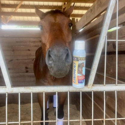 Banixx Premium Analgesic Liniment Spray for Horses (13.2 oz)