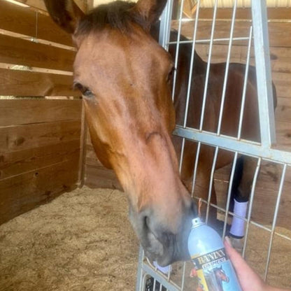 Banixx Premium Analgesic Liniment Spray for Horses (13.2 oz)