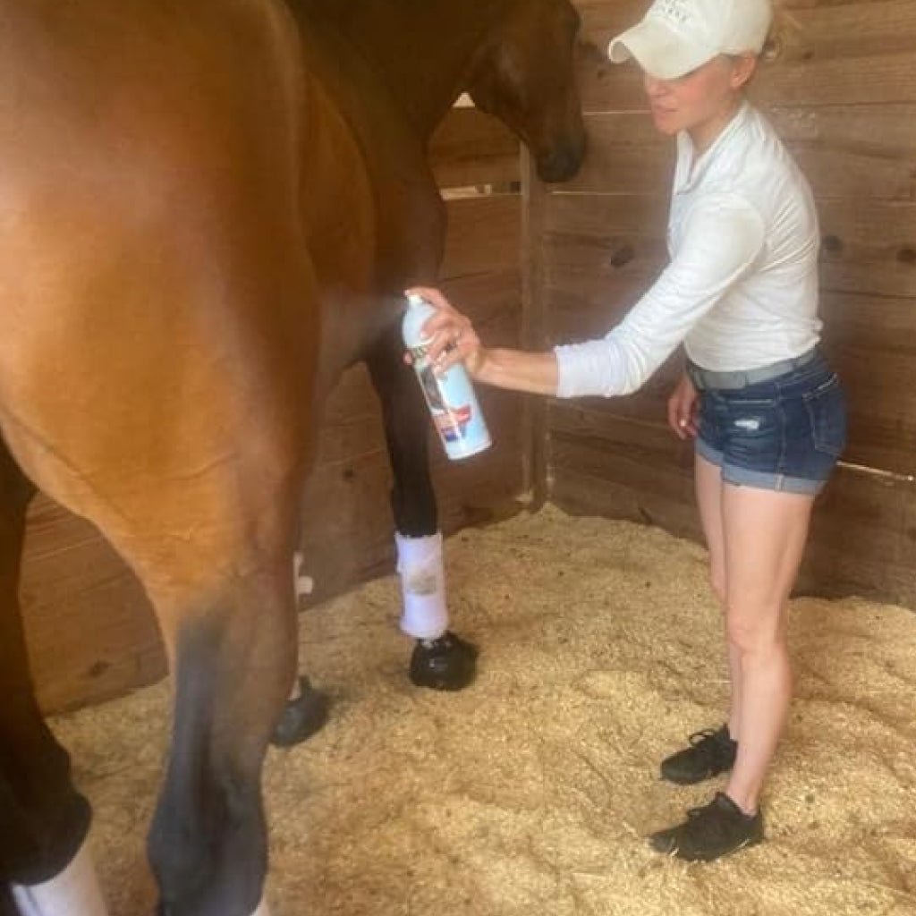 Banixx Premium Analgesic Liniment Spray for Horses (13.2 oz)