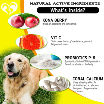 Beloved Pets Anti Itch & Allergy Relief Chews Dog Allergy Supplement, 10-oz