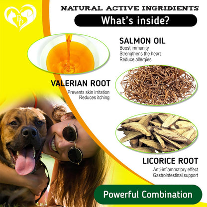 Beloved Pets Anti Itch & Allergy Relief Chews Dog Allergy Supplement, 10-oz