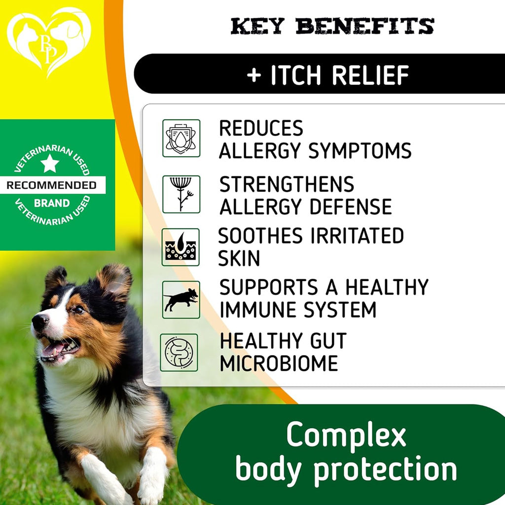 Beloved Pets Anti Itch & Allergy Relief Chews Dog Allergy Supplement, 10-oz