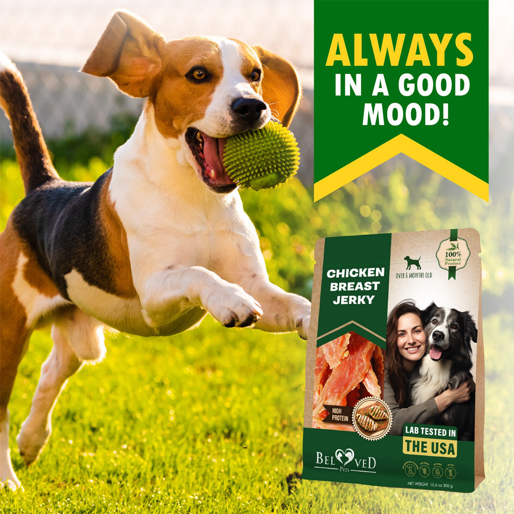 Beloved Pets Chicken Breast Jerky Dog Treats, 10.6-oz