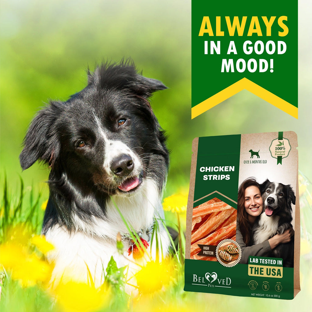 Beloved Pets Chicken Strips Dog Treats, 10.6-oz