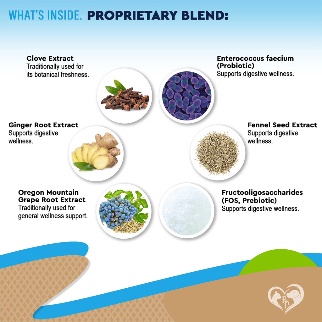 Beloved Pets Digestive Support with Probiotics for Dogs & Cats, 2-oz