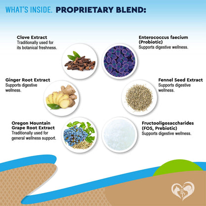 Beloved Pets Digestive Support with Probiotics for Dogs & Cats, 2-oz