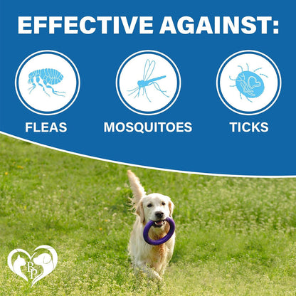 Beloved Pets Flea & Tick Prevention Support Soft Chews for Dogs, 10-oz