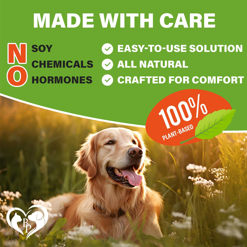 Beloved Pets Flea & Tick Support Chicken Flavor Chewable Supplements for Dogs, 10-oz