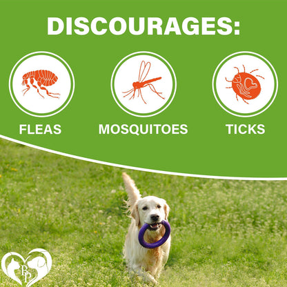 Beloved Pets Flea & Tick Support Chicken Flavor Chewable Supplements for Dogs, 10-oz