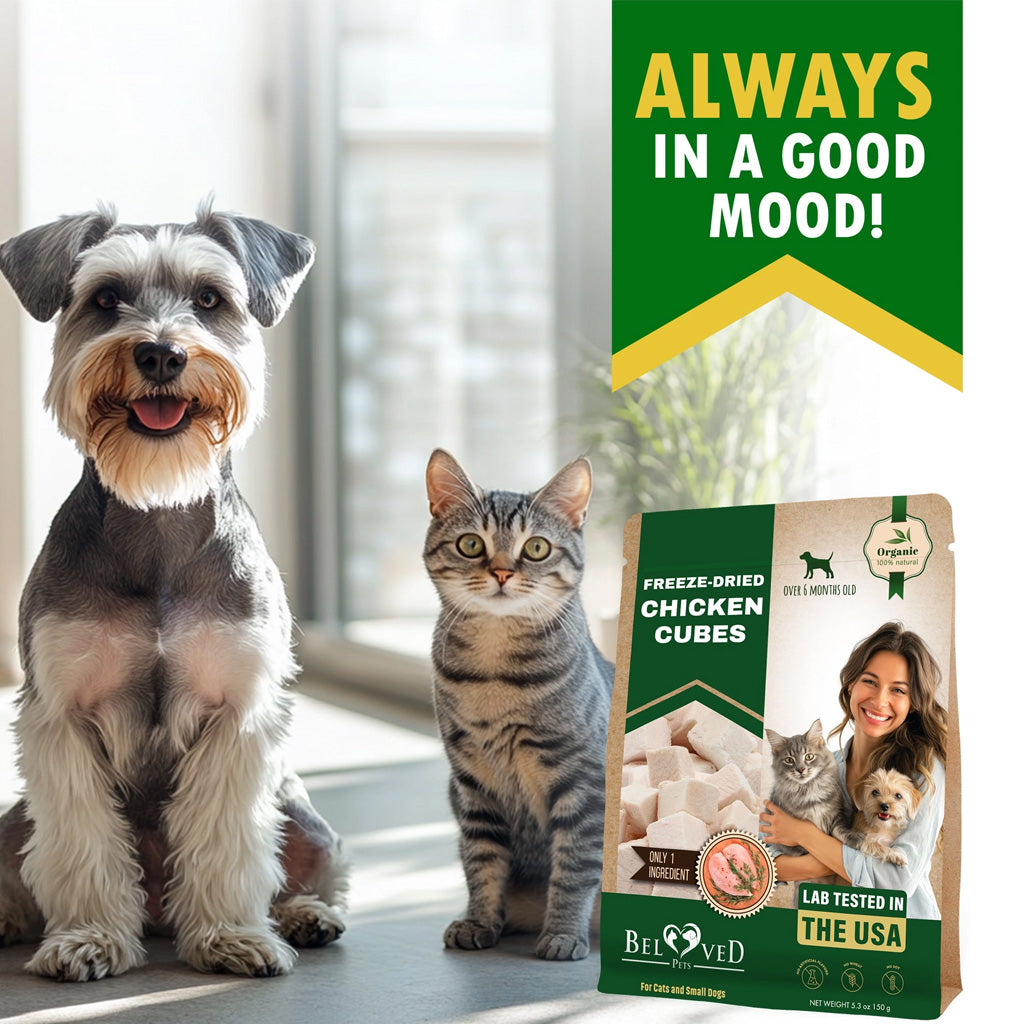 Beloved Pets Freeze-Dried Chicken Cubes Dog & Cat Treats, 5.3-oz