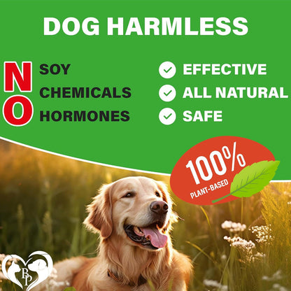 Beloved Pets Glucosamine Bacon Flavored Chews Hip & Joint Support Supplement for Dogs, 10-oz