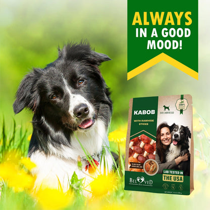 Beloved Pets Kabob with Rawhide Sticks Chicken, Duck & Liver Flavor Dog Treats, 10.6-oz