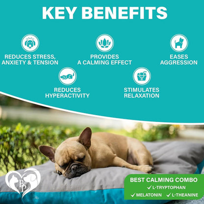 Beloved Pets Melatonin Bacon Flavored Chews Calming Supplement for Dogs, 10-oz