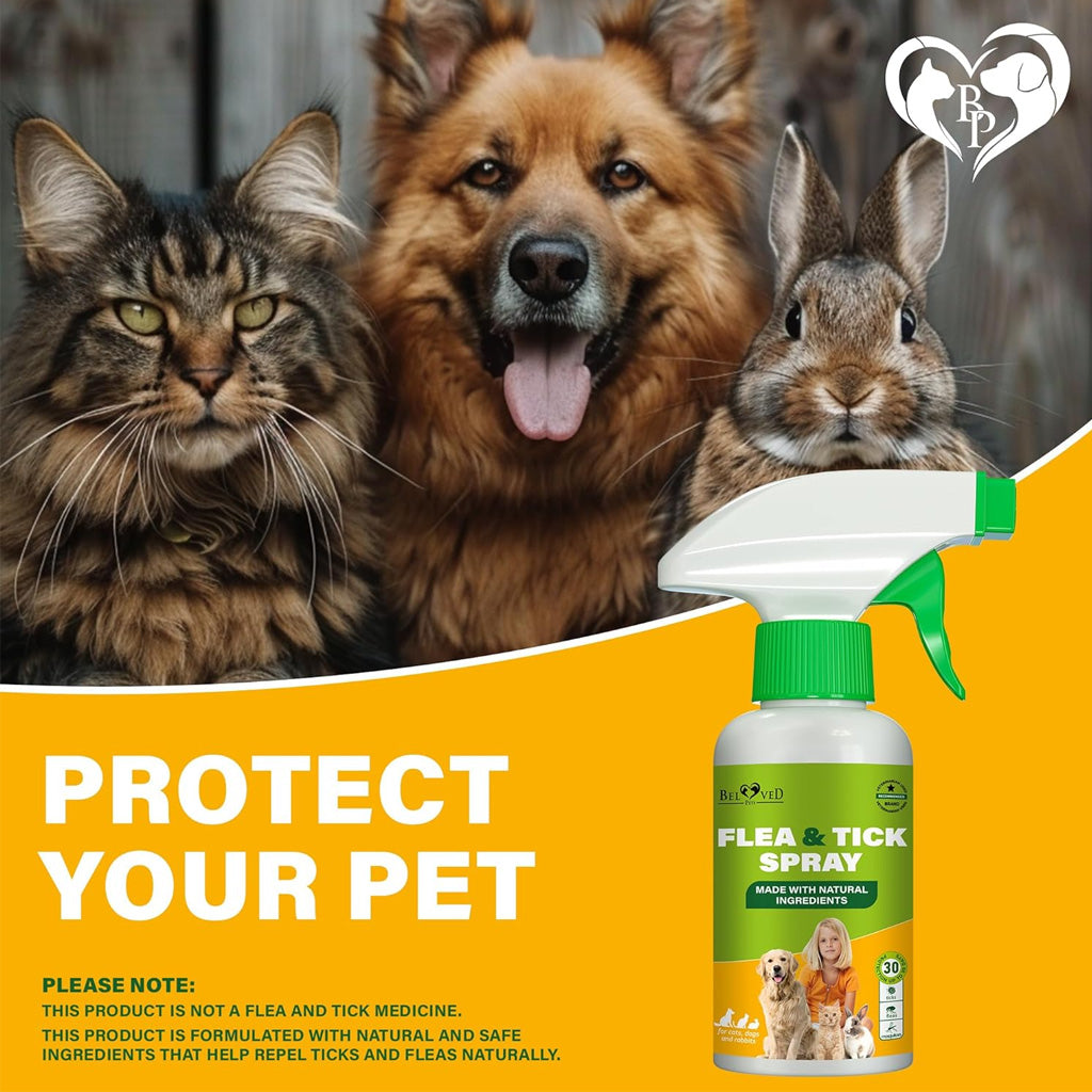 Beloved Pets Natural Flea & Tick Home Spray for Dogs & Cats, 8.5-oz