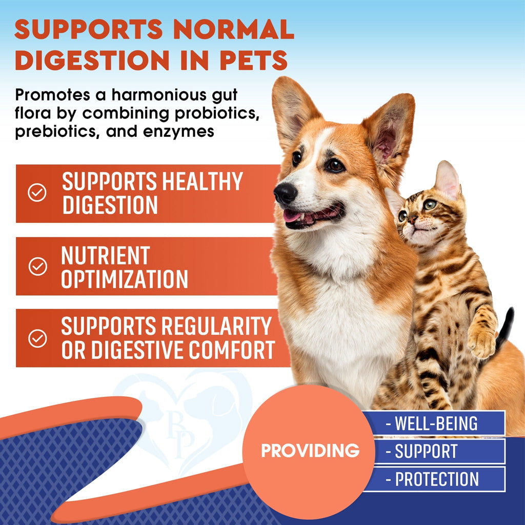 Beloved Pets Probiotic & Prebiotic Plus Enzymes for Cats & Dogs (2 oz)