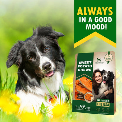 Beloved Pets Sweet Potato Chews Dog Treats, 10-oz