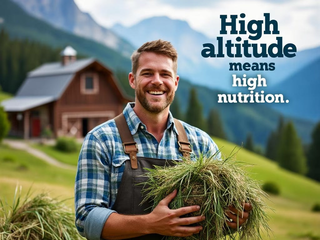 Blue Mountain Hay High-Altitude Alfalfa Hay Easy Flake Box Horse Feed, 50-lb