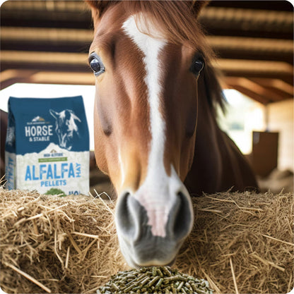 Blue Mountain Hay High-Altitude Alfalfa Hay Pellets Horse Feed, 40lb