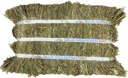 Blue Mountain Hay High-Altitude Orchard Grass Hay Easy Flake Box Horse Feed, 50-lb