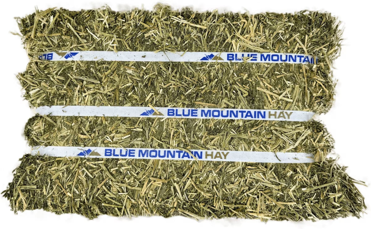 Blue Mountain Hay High-Altitude Organic Alfalfa Hay Easy Flake Box Horse Feed, 50-lb