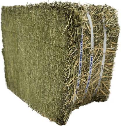 Blue Mountain Hay High-Altitude Organic Alfalfa Hay Easy Flake Box Horse Feed, 50-lb