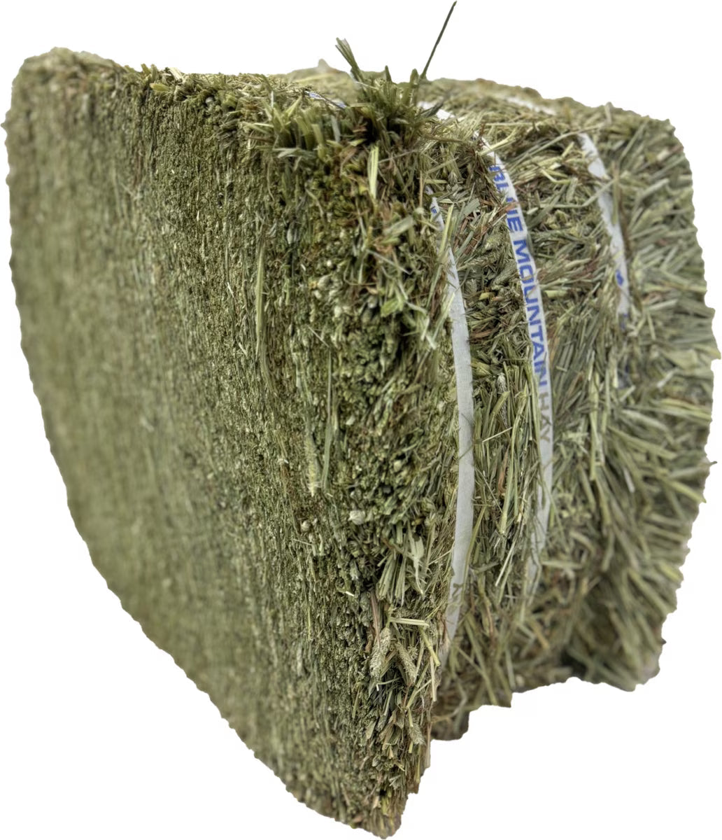 Blue Mountain Hay High-Altitude Timothy Hay Easy Flake Box Horse Feed, 50-lb