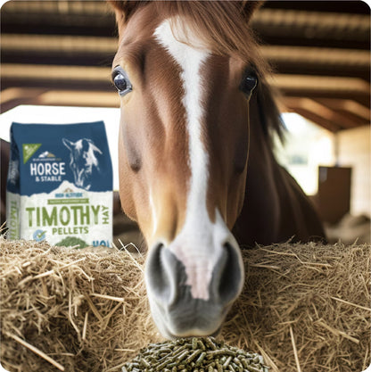 Blue Mountain Hay High-Altitude Timothy Hay Pellets Horse Feed, 40-lb
