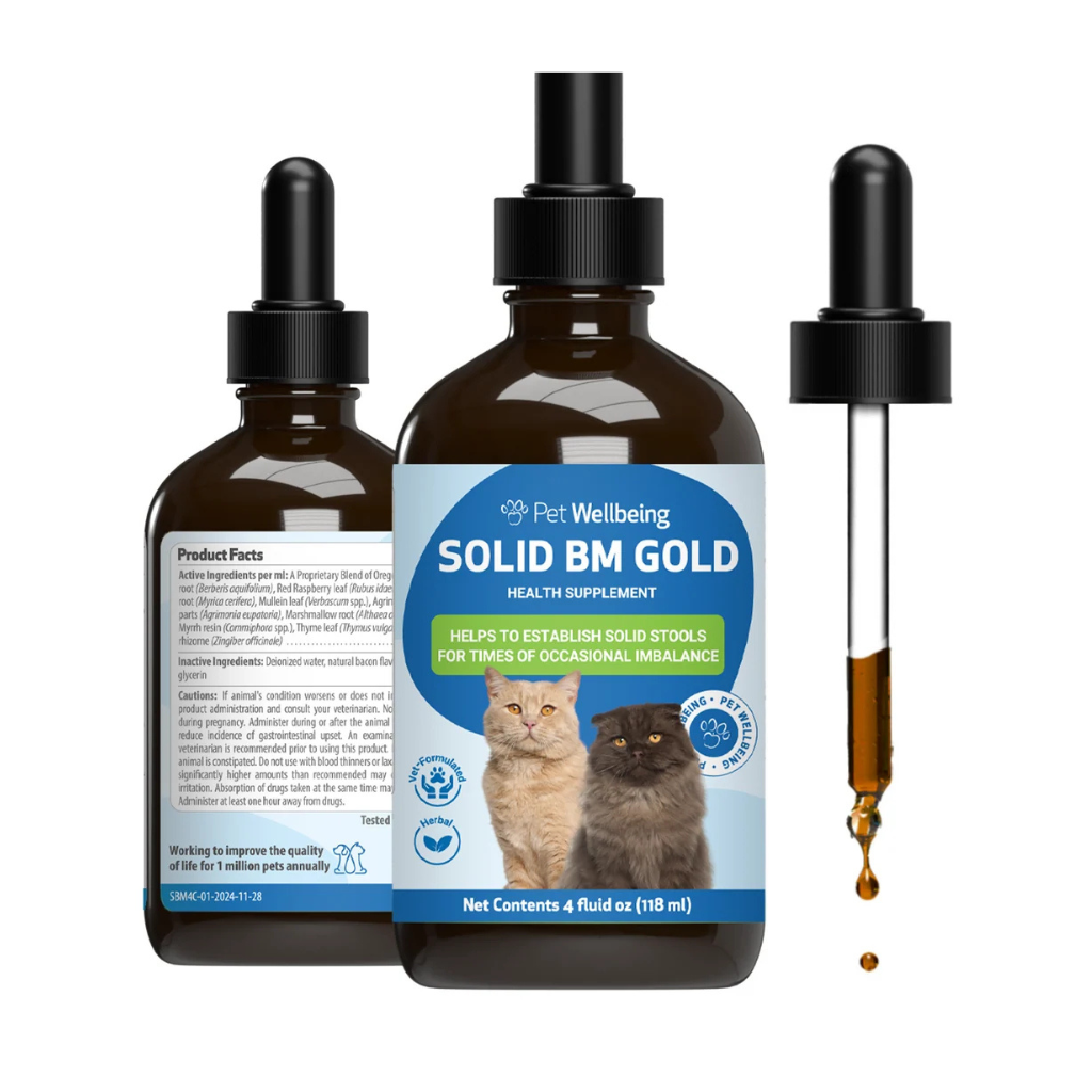 BM Tone-Up Gold for Loose Stools in Cats