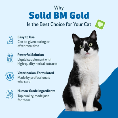 BM Tone-Up Gold for Loose Stools in Cats