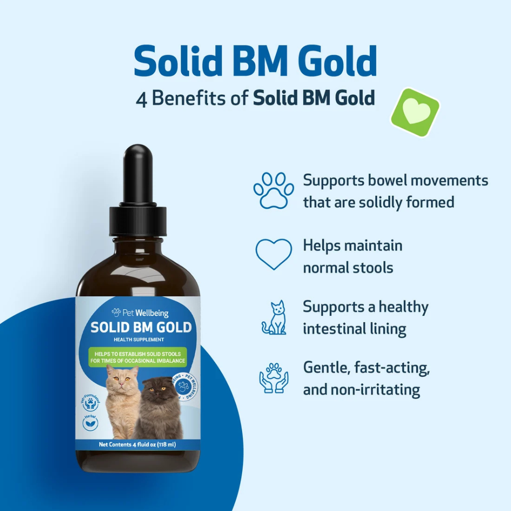 BM Tone-Up Gold for Loose Stools in Cats