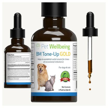 BM Tone-Up Gold for Loose Stools in Cats