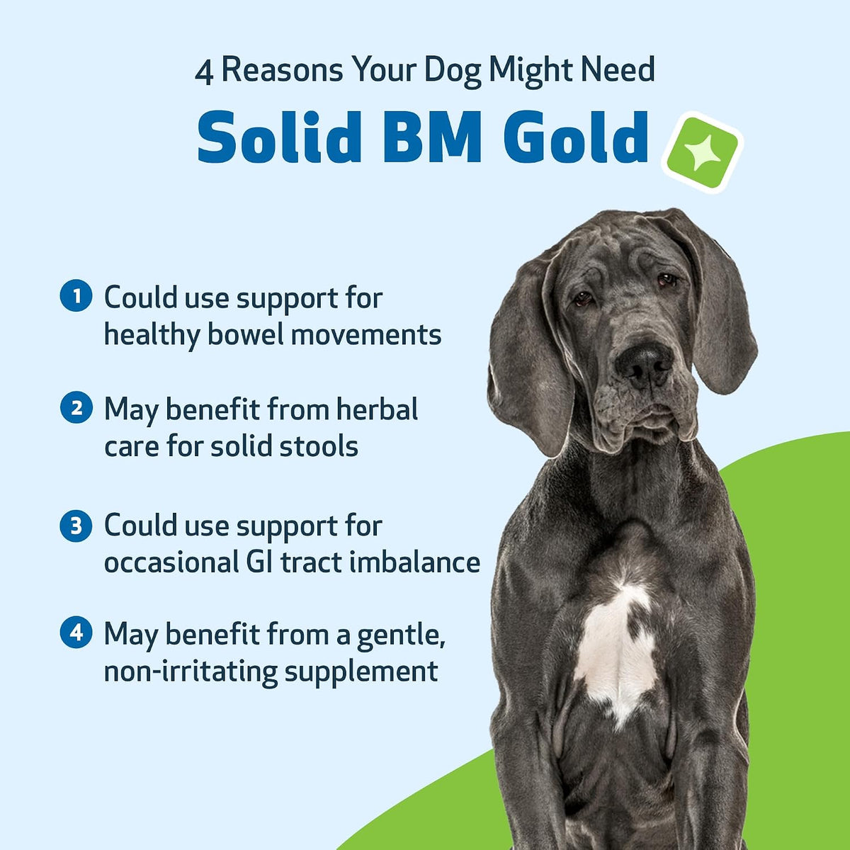 BM Tone-Up Gold for Loose Stools in Dogs