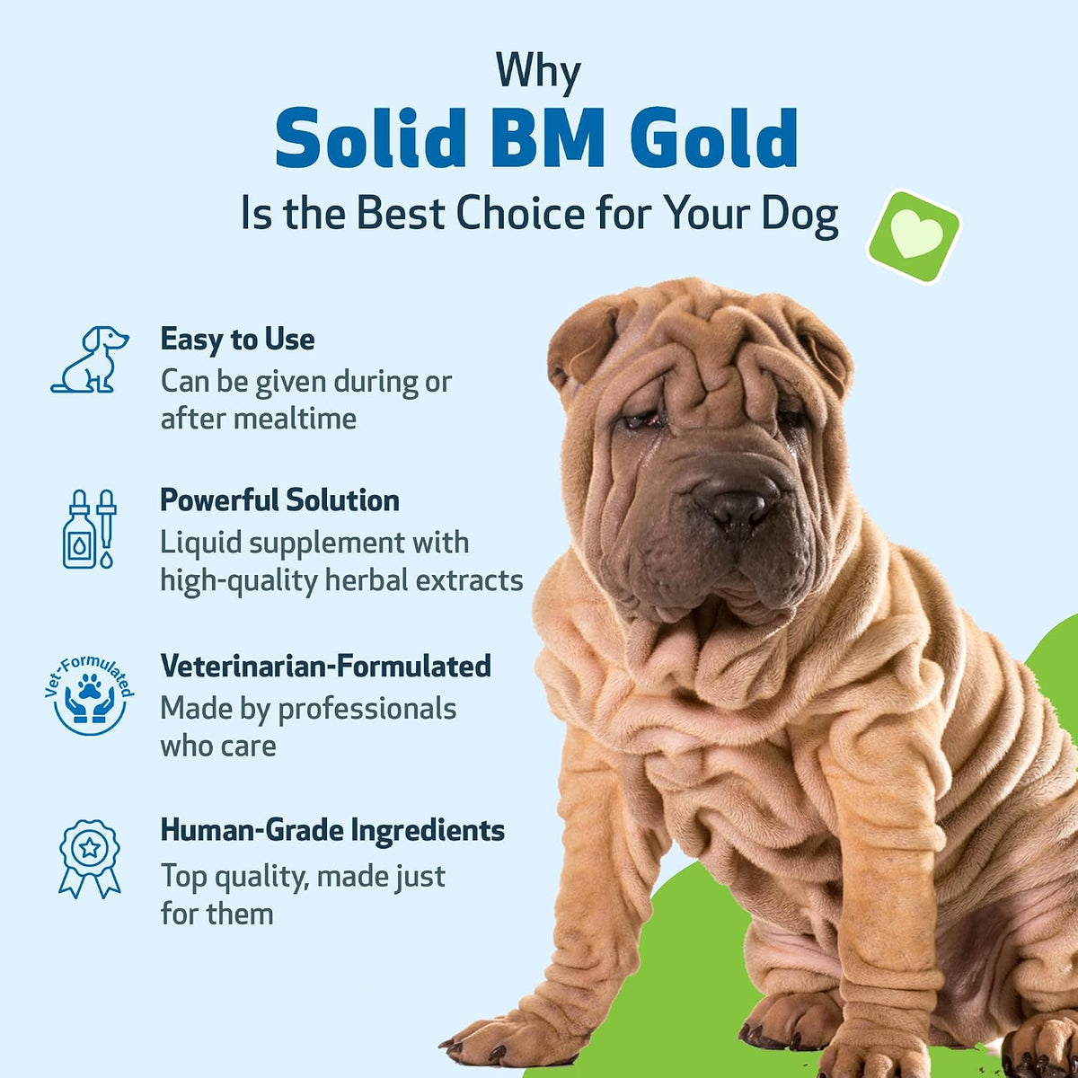 BM Tone-Up Gold for Loose Stools in Dogs
