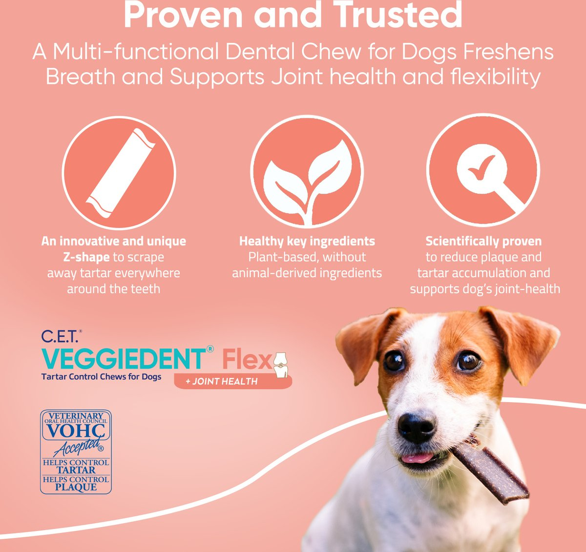 C.E.T. VeggieDent Flex + Joint Health for Large Dogs Over 66lbs