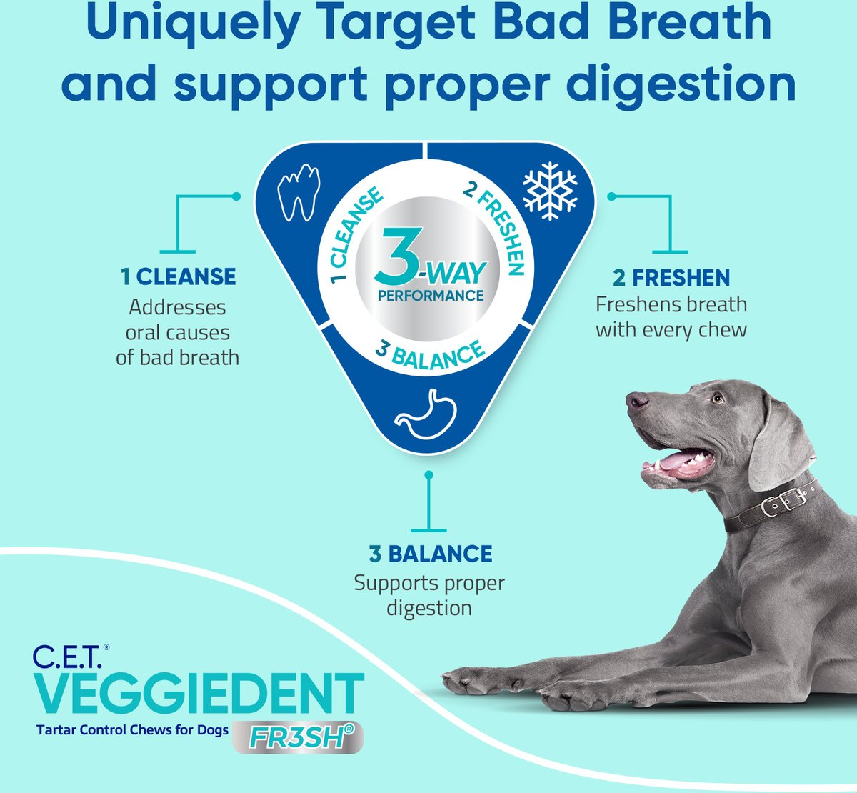 C.E.T. VeggieDent Fr3sh for Medium Dogs 22-66 lbs