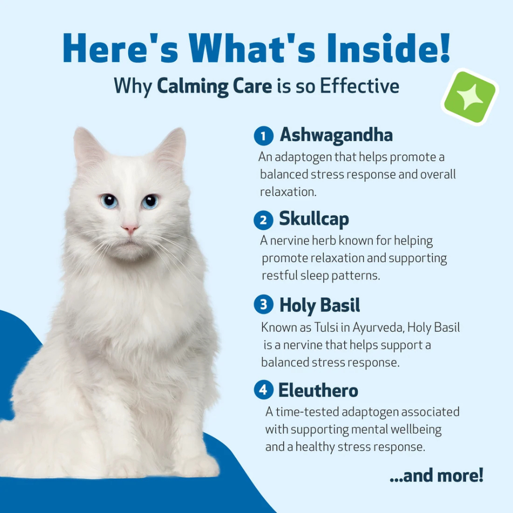 Calming Care Anxious Behavior for Cat (2 oz)