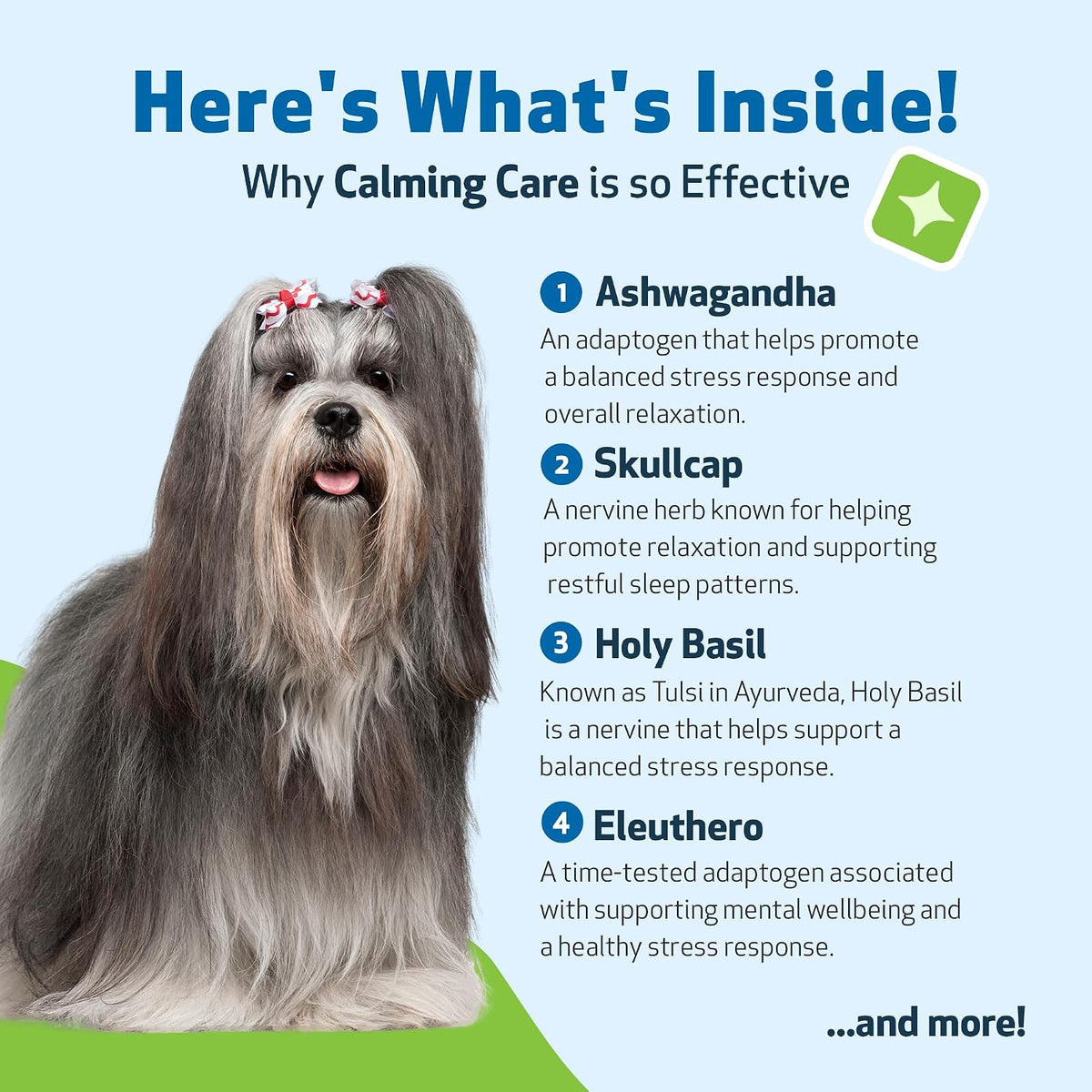 Calming Care Anxious Behavior for Dog (2 oz)