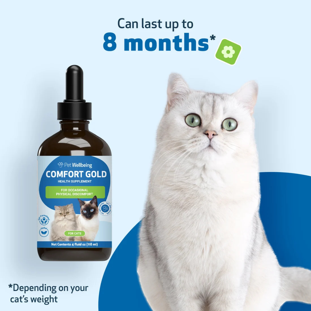 Comfort Gold for Occasional Physical Discomfort in Cats