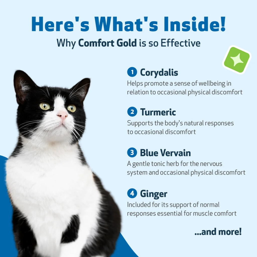Comfort Gold for Occasional Physical Discomfort in Cats