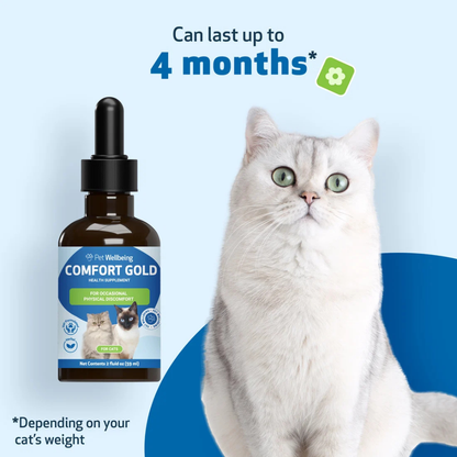 Comfort Gold for Occasional Physical Discomfort in Cats
