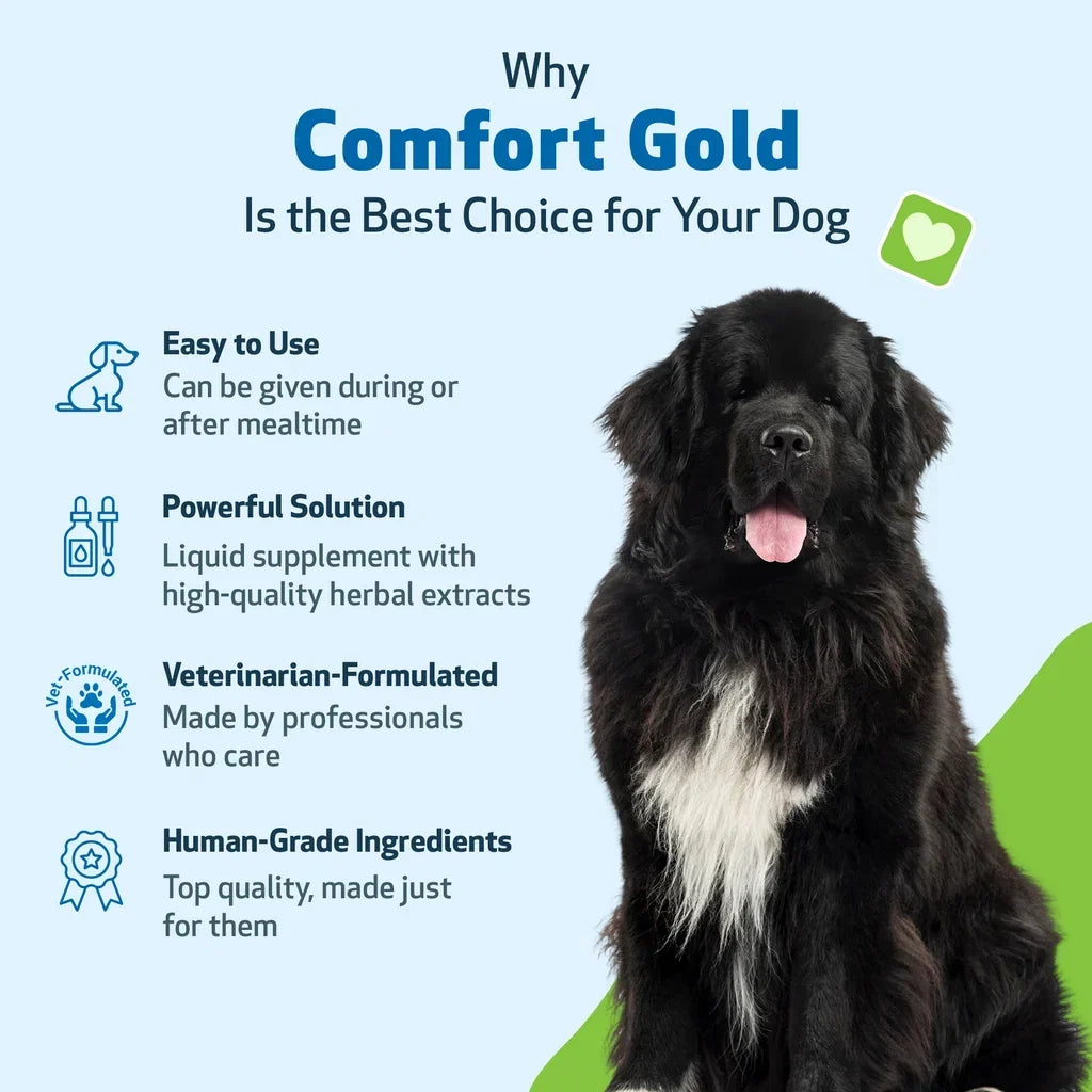Comfort Gold for Occasional Physical Discomfort in Dogs, 4-oz