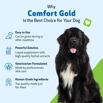 Comfort Gold for Occasional Physical Discomfort in Dogs, 4-oz