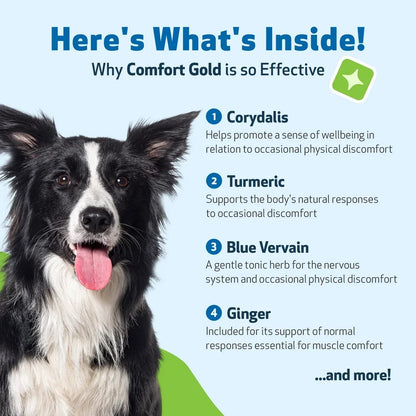 Comfort Gold for Occasional Physical Discomfort in Dogs, 4-oz