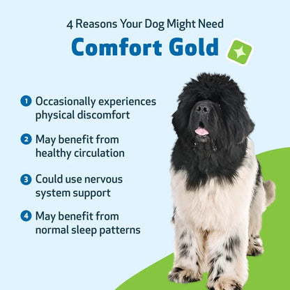 Comfort Gold for Occasional Physical Discomfort in Dogs, 4-oz